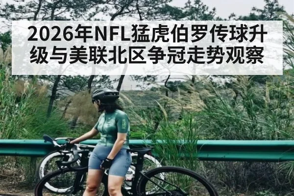 2026年NFL猛虎伯罗传球升级与美联北区争冠走势观察